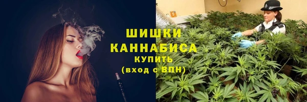 ПСИЛОЦИБИНОВЫЕ ГРИБЫ Абинск